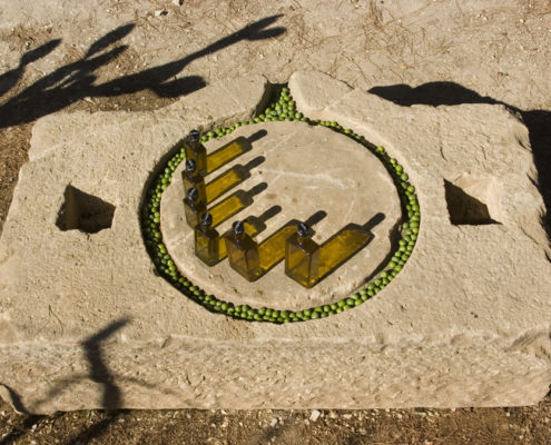 olio7